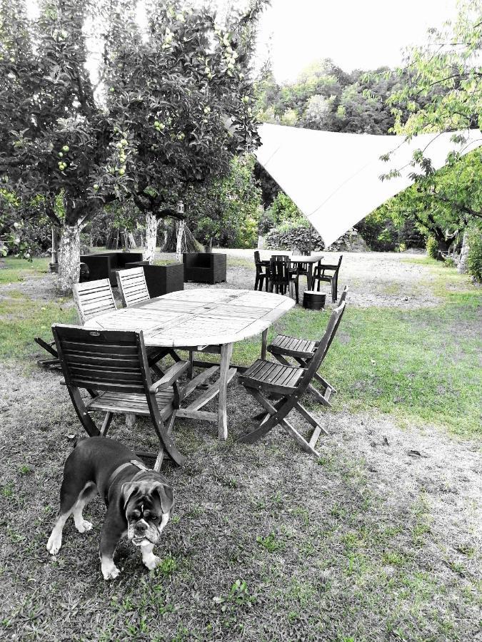 Escapade Champetre Bed & Breakfast Hauteville-sur-Fier Exterior foto